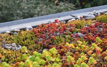 the cost of Waldron green roof installation