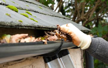 gutter cleaning Waldron, East Sussex