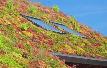 Waldron living roof systems